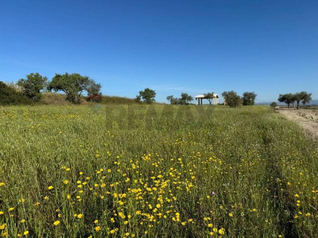 Terreno agricolo in vendita a Pachino