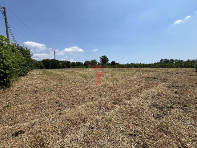Terreno agricolo in vendita a Padova