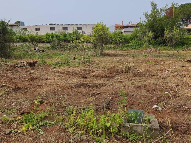 Terreno agricolo in vendita a Palermo