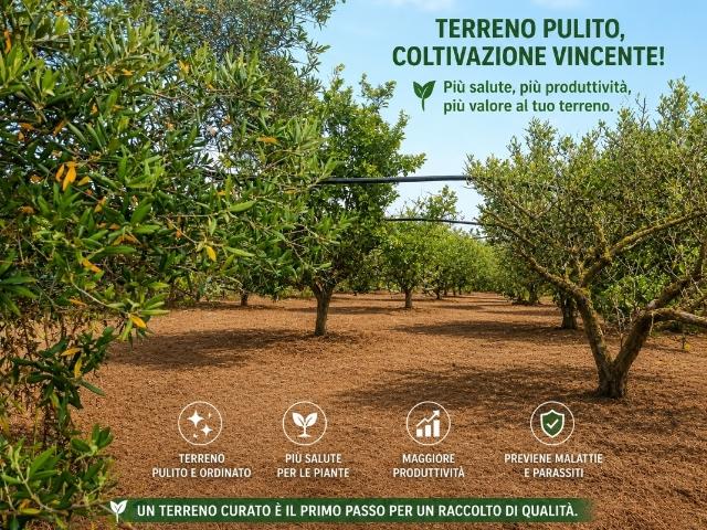 Terreno Agricolo in vendita a Partinico
