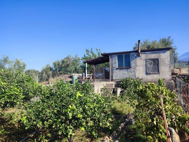 Terreno agricolo in Vendita a PaternÃ²