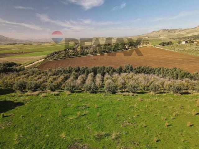 Terreno agricolo in vendita a Paterno'