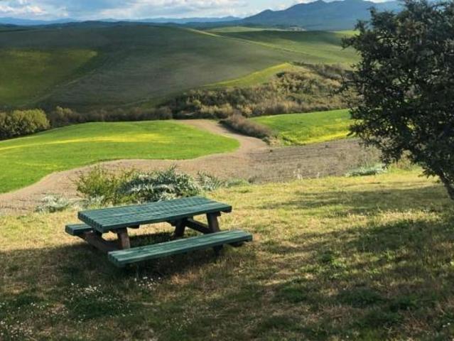 Terreno agricolo in vendita a Peccioli 10000 mq Rif: 1293051