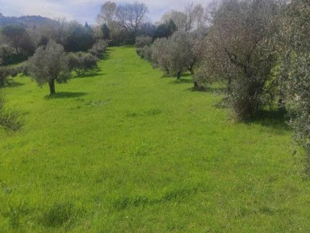 Terreno agricolo in vendita a Perugia