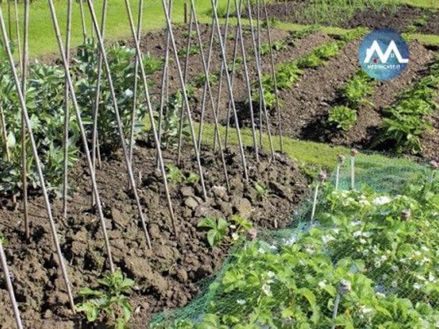 Terreno agricolo in vendita a Pesaro