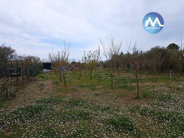 Terreno agricolo in vendita a Pesaro