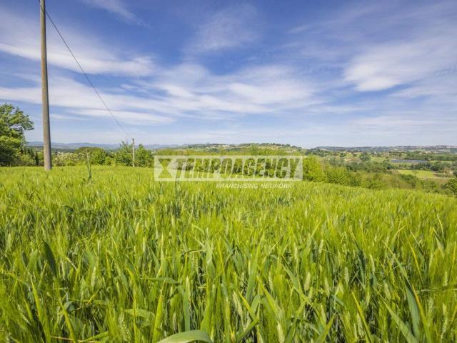 Terreno agricolo in vendita a Petriolo