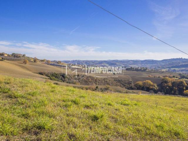 Terreno agricolo in vendita a Petriolo