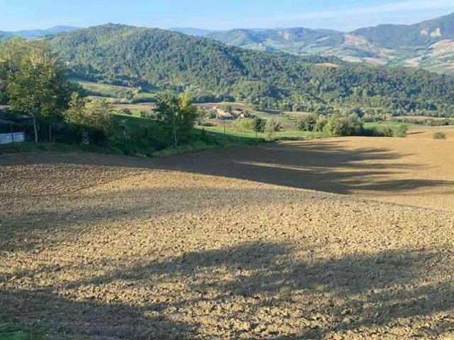 Terreno agricolo in Vendita a Piozzano