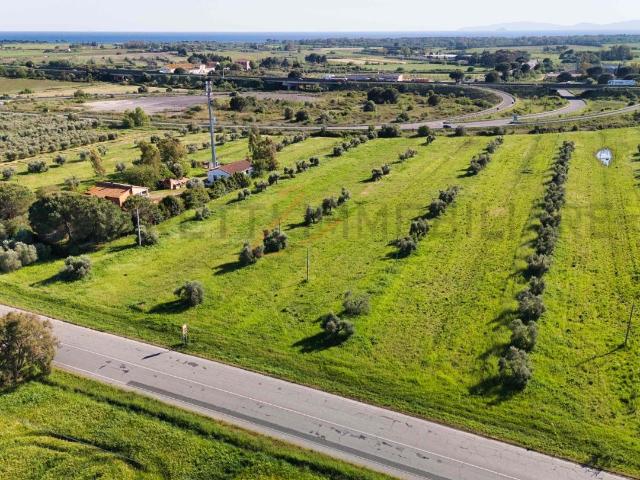 Terreno agricolo in Vendita a Piombino