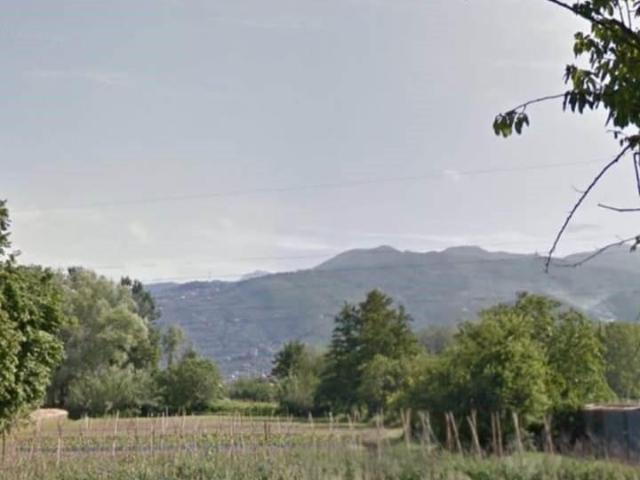 Terreno Agricolo in vendita a Pietrasanta