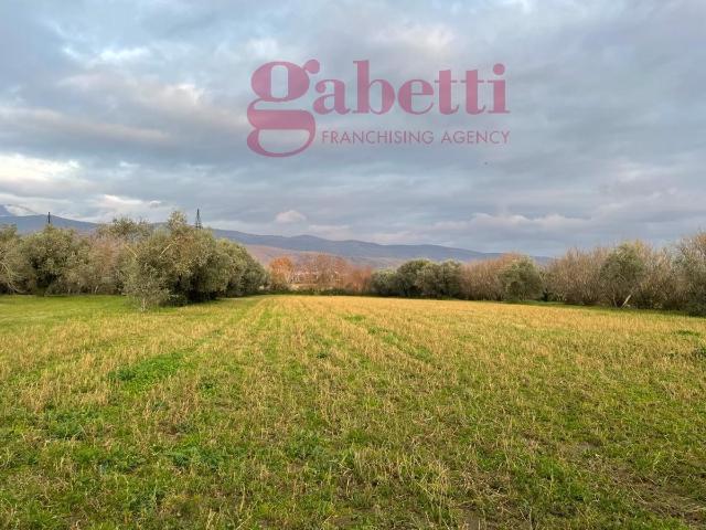Terreno Agricolo in vendita a Pignataro Maggiore