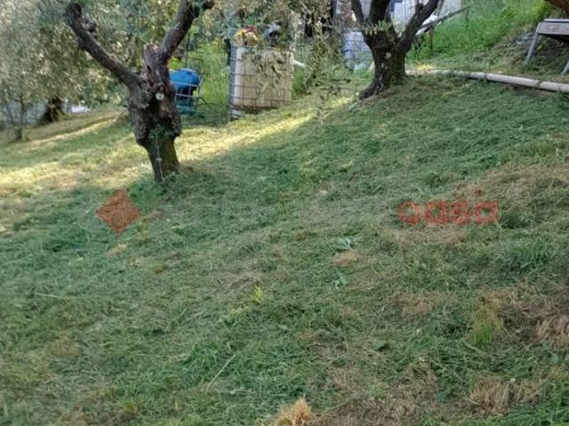 Terreno Agricolo in vendita a Pistoia