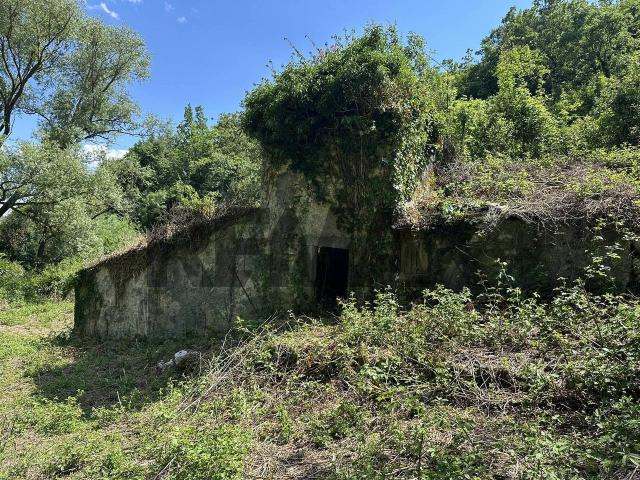 Terreno agricolo in vendita a Pizzone