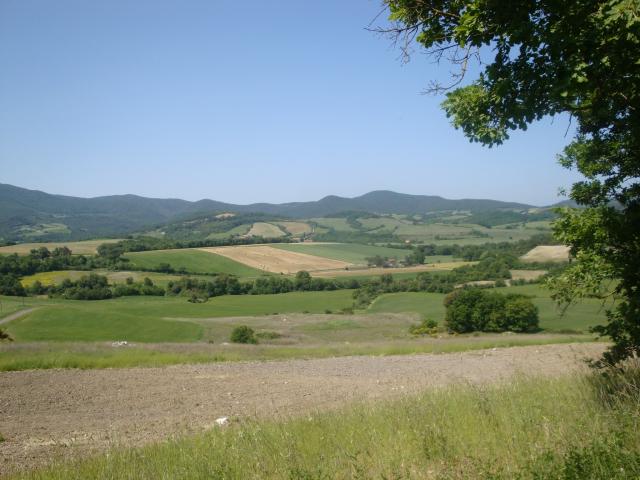 TERRENO AGRICOLO in VENDITA a POMARANCE