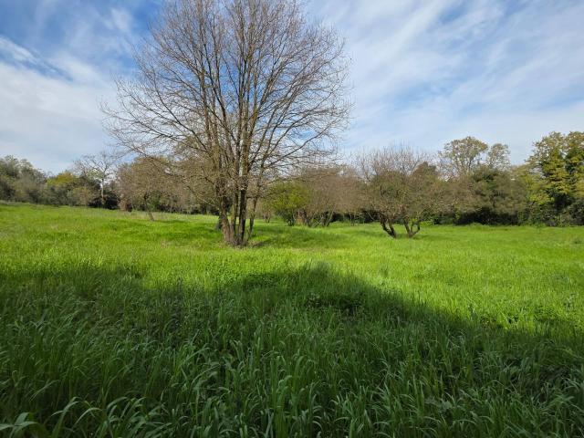 Terreno Agricolo in vendita a Pomezia