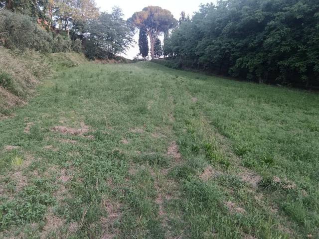 Terreno agricolo in vendita a Pontedera