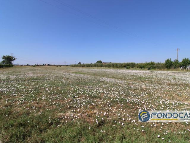 Terreno Agricolo in vendita a Pontedera