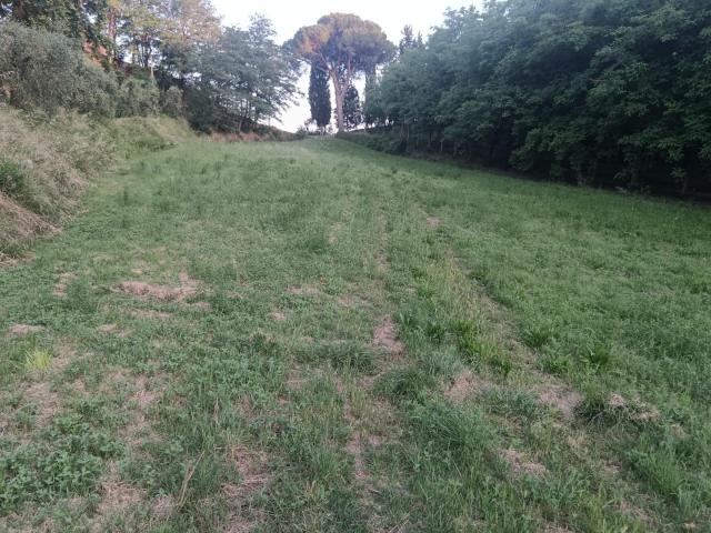 Terreno agricolo in Vendita a Pontedera