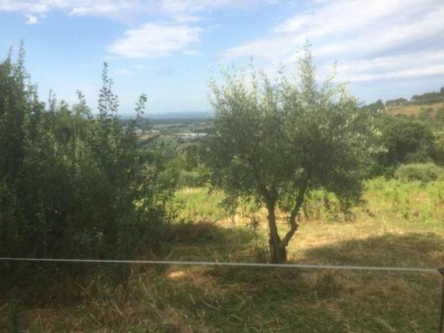 Terreno agricolo in vendita a Poggibonsi 3500 mq Rif: 1290553