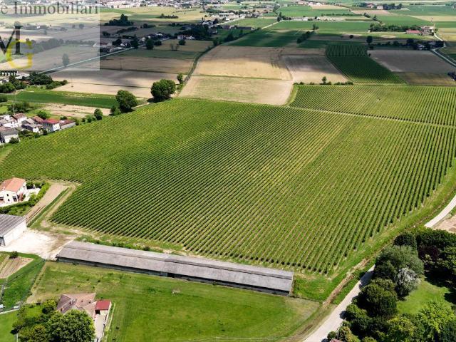 Terreno Agricolo in vendita a Pojana Maggiore