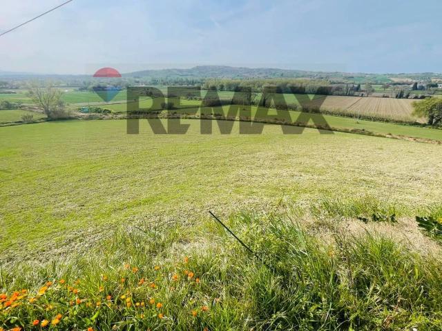 Terreno agricolo in vendita a Potenza Picena