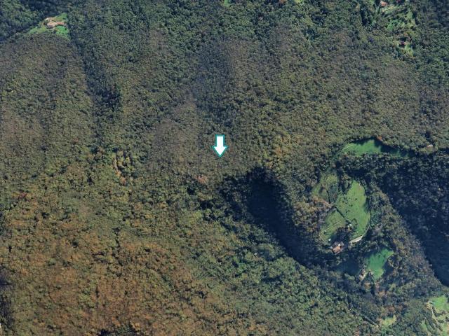 Terreno Agricolo in vendita a Pradalunga