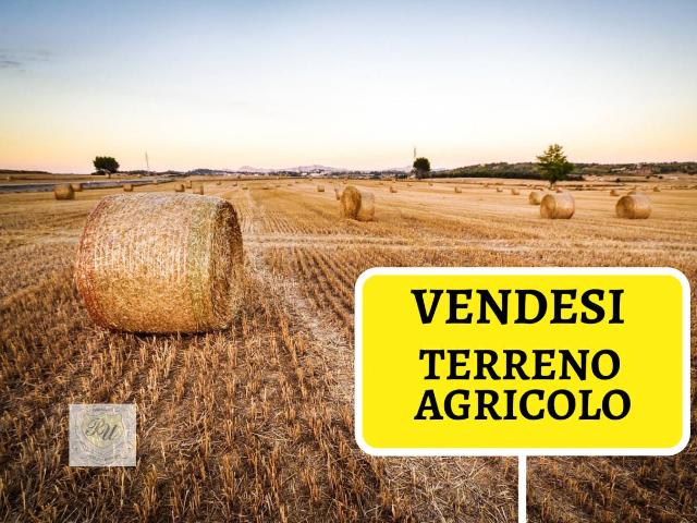 Terreno Agricolo in vendita a Premariacco