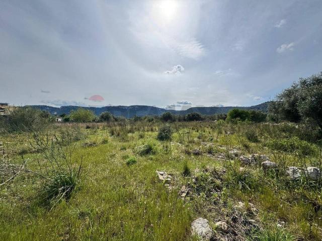 Terreno agricolo in vendita a Priolo Gargallo