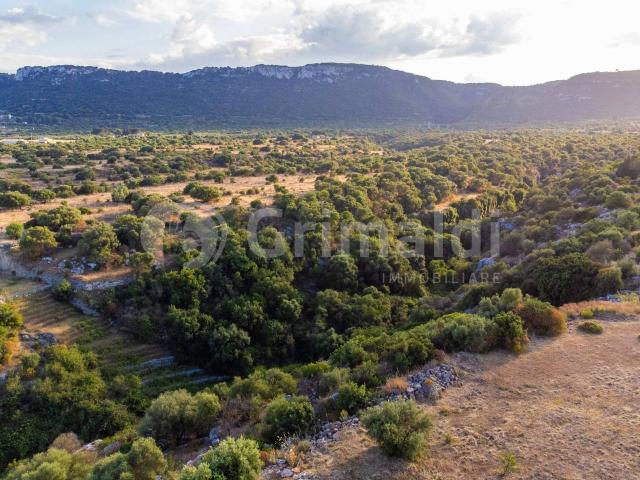 Terreno agricolo in vendita a Priolo Gargallo
