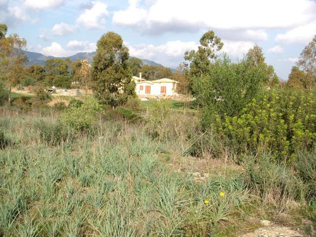Terreno agricolo in vendita a Pula CA