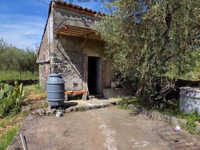Terreno agricolo in vendita a Randazzo