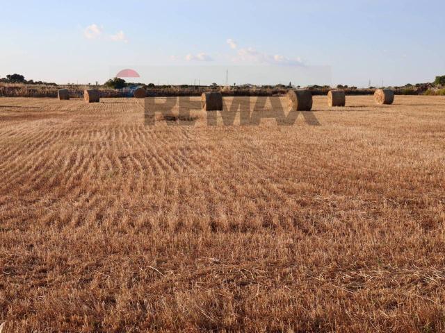 Terreno agricolo in vendita a Ragusa