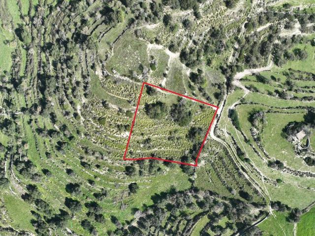 Terreno agricolo in vendita a Ragusa