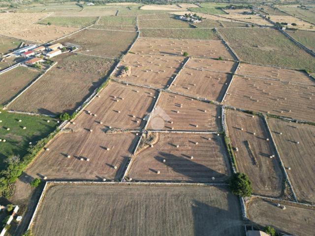 Terreno agricolo in vendita a Ragusa