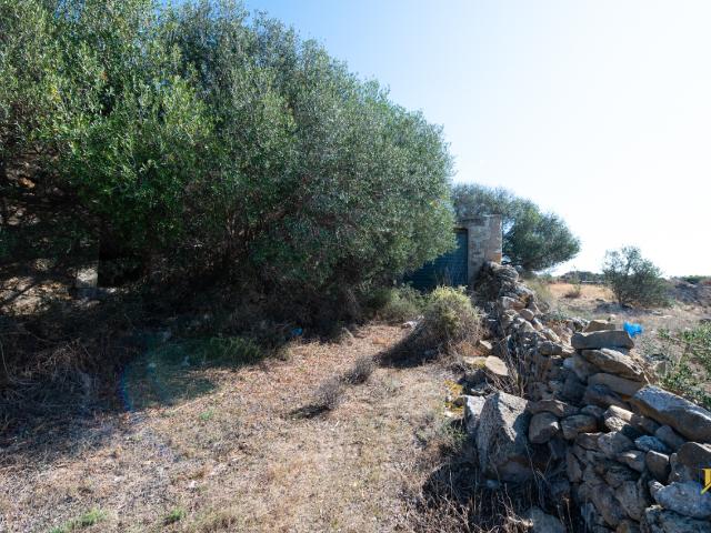 Terreno agricolo in vendita a Ragusa