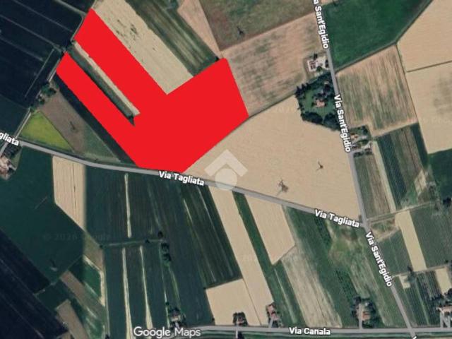 Terreno agricolo in vendita a Ravenna