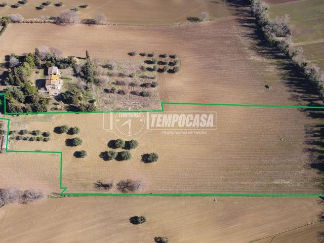 Terreno agricolo in vendita a Recanati