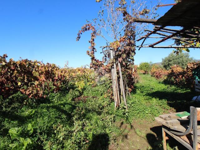 Terreno agricolo in vendita a Reggio Calabria