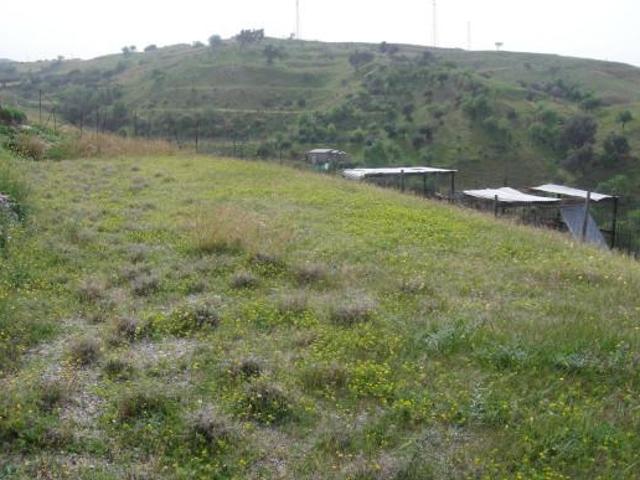 Terreno agricolo in vendita a Reggio Calabria