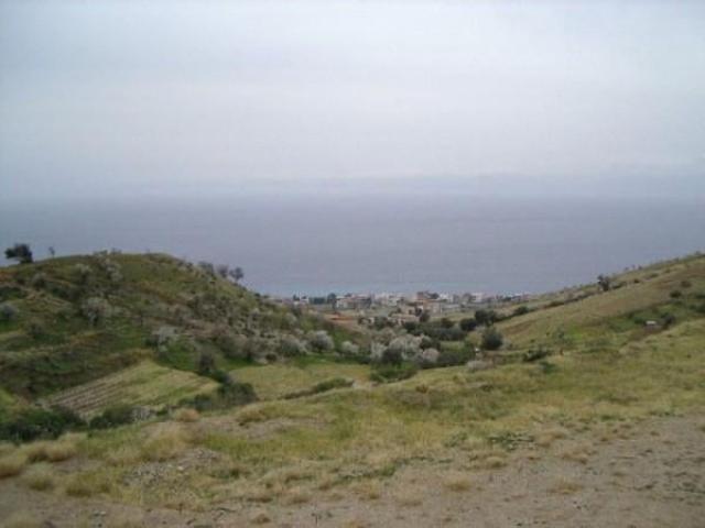 Terreno agricolo in vendita a Reggio Calabria