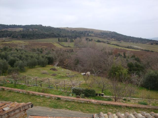 TERRENO AGRICOLO in VENDITA a RIPARBELLA