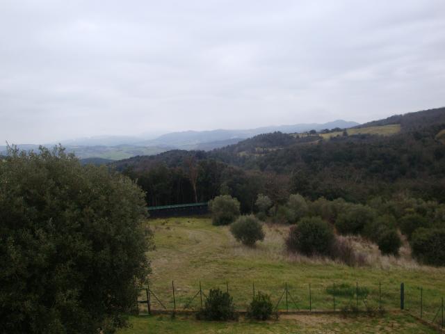 TERRENO AGRICOLO in VENDITA a RIPARBELLA