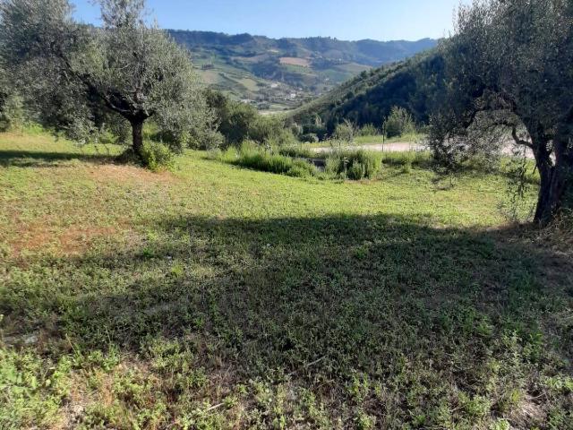Terreno Agricolo in vendita a Ripatransone, Val Tesino