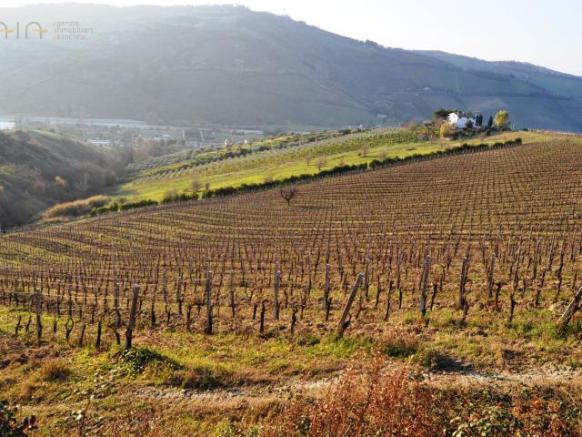 Terreno Agricolo in vendita a Ripatransone, Val Tesino