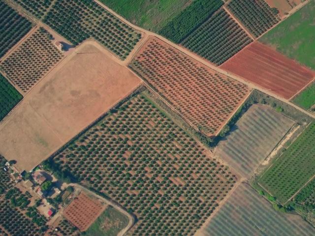 Terreno Agricolo in vendita a Riva Presso Chieri