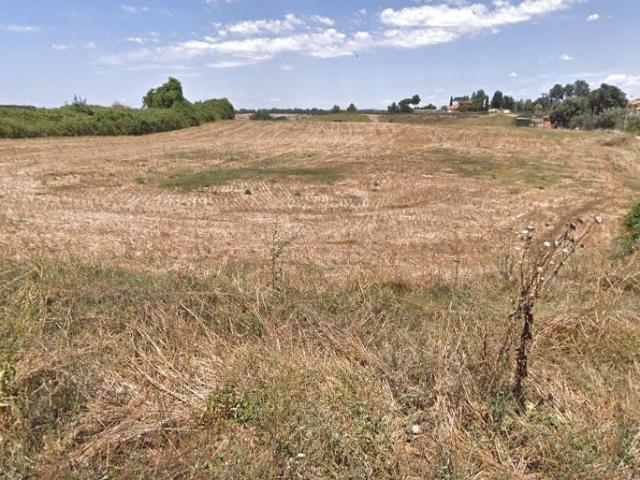 Terreno Agricolo in vendita a Roma, Massimina