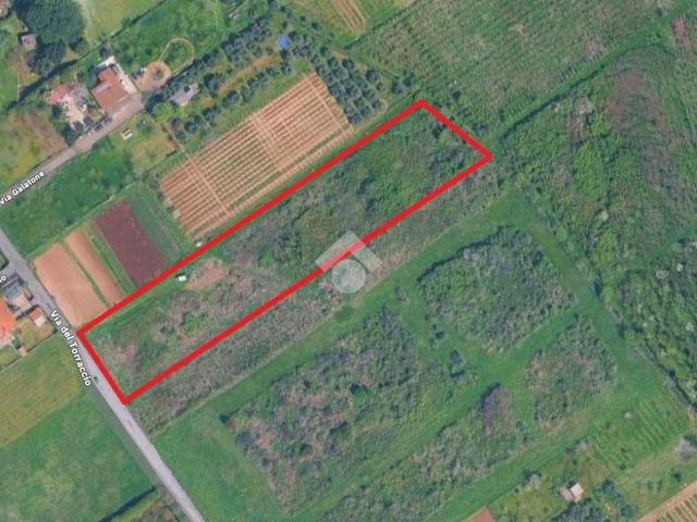 Terreno agricolo in vendita a Roma