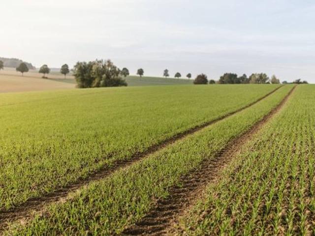 Terreno agricolo in vendita a Roma