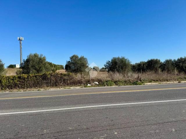 Terreno agricolo in vendita a Roma